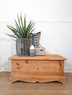 a potted plant sitting on top of a wooden table next to a clock and radio