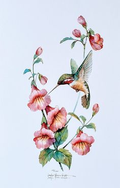 a watercolor painting of a hummingbird and pink flowers