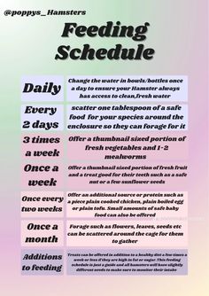 a poster with instructions for feeding schedules on the front and back of each page