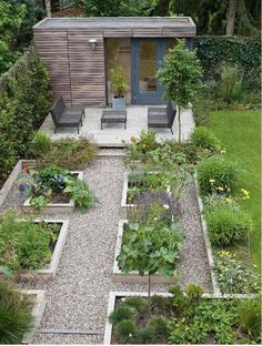 a small garden with lots of plants in it