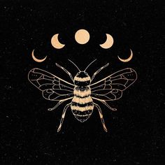 a bee sitting on top of a black surface next to the moon and crescents