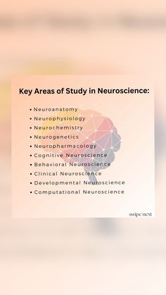 the key areas of study in neuroscence are shown on a white background