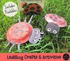 ladybug crafts and activities for kids on the grass in front of a book