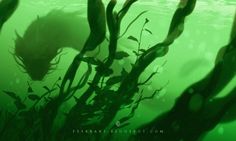 an underwater view of seaweed in the water