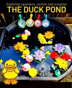 the duck pond is full of colorful flowers and peeps in it's water