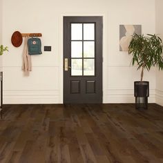 an empty room with wood floors and a black door in the center is a potted plant