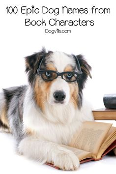 a dog wearing glasses reading a book with the title, 100 epic dog names from book characters