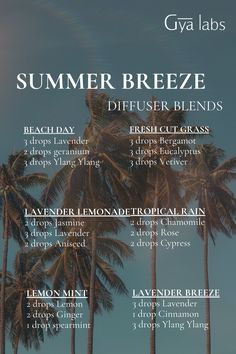 Breathe in the essence of summer with our Summer Breeze diffuser blends. 🌞🍃  #GyaLabs #UpliftYourEveryday #essentialoils #spring #summerseason #amazing #soulwisdom #Junevibes #summer  #summervibes #abundance #abundancemindset #miracles #blessings #inspiration #NaturalCare #HealthyLiving #EssentialOils #woman Clean Linen Essential Oil Blend, House Scents, Perfume Blends, Essential Oil Roller Bottle Recipes, Living Oils Recipes, Diffuser Oils