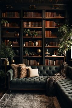 a living room filled with lots of bookshelves next to a couch and rug