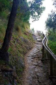 a path that is going up the side of a hill next to a tree and fence