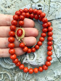 Simple and elegant Sardinia coral bead necklace with an 18k yellow gold clasp! Total Weight: 45.86 grams Necklace Length: 17 inch 18k gold clasp: 18.8mm x 13.7mm Precious Metal: 18k gold Precious stones: -Coral Round Beads: 8.1mm to 9mm diameter -Coral Faceted Oval: 12..3mm x 8.5mm Formal Single Strand Red Coral Necklace, Formal Coral Single Strand Beaded Necklace, Elegant Hand-strung Coral Necklaces, Elegant Hand-strung Coral Necklace, Elegant Coral Hand-strung Necklaces, Elegant Red Coral Round Bead Necklaces, Elegant Red Coral Round Bead Necklace, Elegant Red Coral Necklaces With Polished Beads, Formal Necklace With Gold Clasp