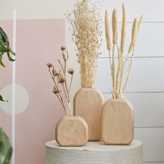 three wooden vases sitting on top of a white table next to plants and a pink wall