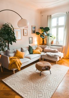 a living room filled with furniture and a large potted plant on top of a rug