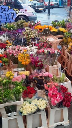 many different types of flowers are on display