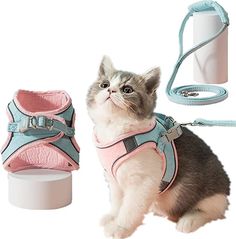 Cat Leash And Harness, Cute Cat Costumes, Really Cute Puppies, Cat Fashion, Cat Bag