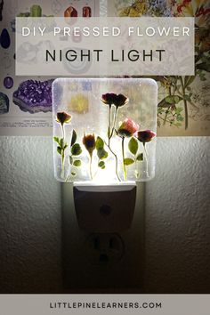 a light that has flowers in it with the words diy pressed flower night light