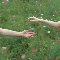 two people reaching out their arms to touch each other in a field full of flowers