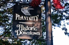 a sign for plant city historic downtown hanging from a lamp post with red flowers in the background