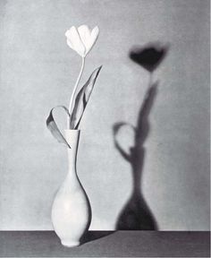 a black and white photo of a flower in a vase with a shadow on the wall behind it