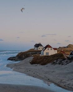 the birds are flying over the houses on the beach by the water's edge