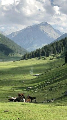 beautiful nature picture of Switzerland Central Asia Aesthetic, Nature Aesthetic Green, Green Nature Aesthetic, Valley Aesthetic, Mountains Background, Hike Mountain, View Mountain, Mountain Aesthetic, Mountains Aesthetic