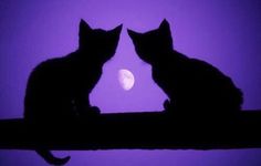 two cats are sitting on a ledge looking at the moon in the sky with purple hues