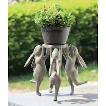 two little rabbits are playing with each other in front of a potted planter