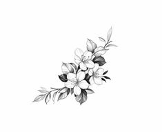 a black and white drawing of flowers