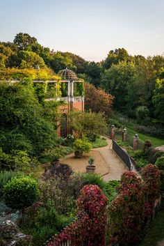 a garden with lots of trees and flowers