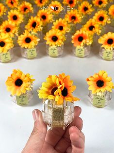 a hand holding a jar with sunflowers in it next to small jars filled with flowers