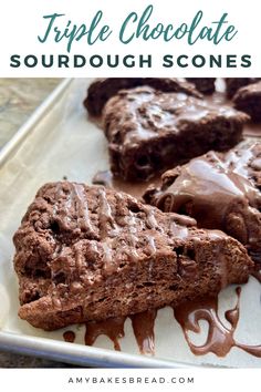 three chocolate sourdough scones on a plate with melted chocolate drizzle