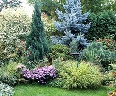 the garden is full of colorful flowers and trees