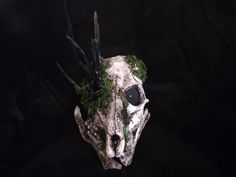 an animal skull with moss on it's head