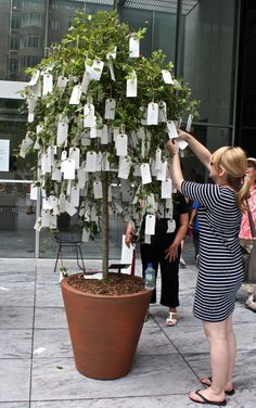 a woman is placing notes on a tree