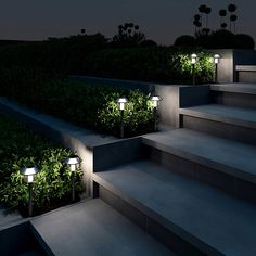 some steps lit up with lights and plants