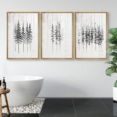 three black and white paintings hanging on the wall above a bathtub next to a potted plant