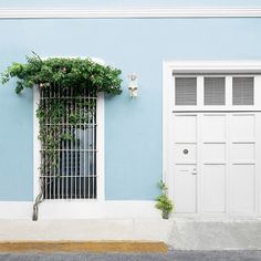 a blue and white building with a window covered in vines next to a yellow fire hydrant