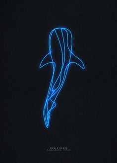 a neon blue whale in the dark