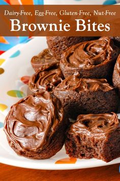 chocolate brownie bites on a plate with the title text overlay reads dairy - free, egg - free, gluten - free, nut - free, nut - free