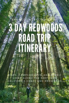 a person walking through the woods with text reading 3 day redwoods road trip itinerary