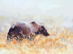 watercolor painting of a grizzly bear Watercolor Grizzly Bear, Yellowstone Watercolor, Yellowstone Painting, Grizzly Bear Drawing, Bear Watercolor Painting, Aurora Art, Horse Paintings, Watercolor Fine Art, Paint Inspo