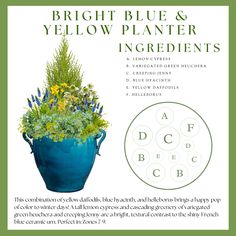 an advertisement for bright blue and yellow planter ingredients