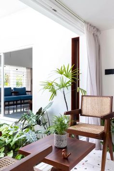 a living room filled with furniture and plants