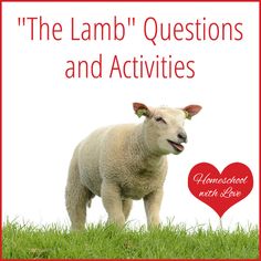 the lamb's questions and activities for homeschool with love are shown here