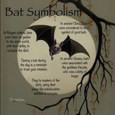 an image of a bat symbolizing the meaning of bats