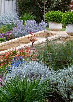 a garden filled with lots of different types of flowers