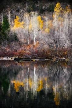 the trees are changing colors in the fall and they are reflected in the still water