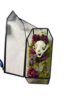 a fake skull in a glass box with flowers and plants on the inside is attached to a hook