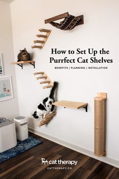 a cat sitting on top of a wooden stair case next to a wall with shelves