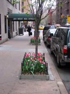 cars parked on the side of a street next to a tree with flowers in it